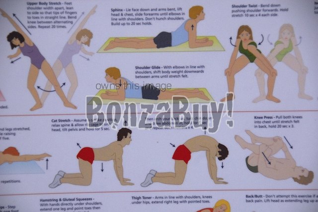 Charts / Posters Chart Exercise Body Keep Fit Stretch A2 Laminated