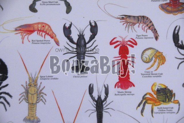 charts-posters-chart-crustaceans-of-australia-crayfish-crabs-prawns-a2-laminate